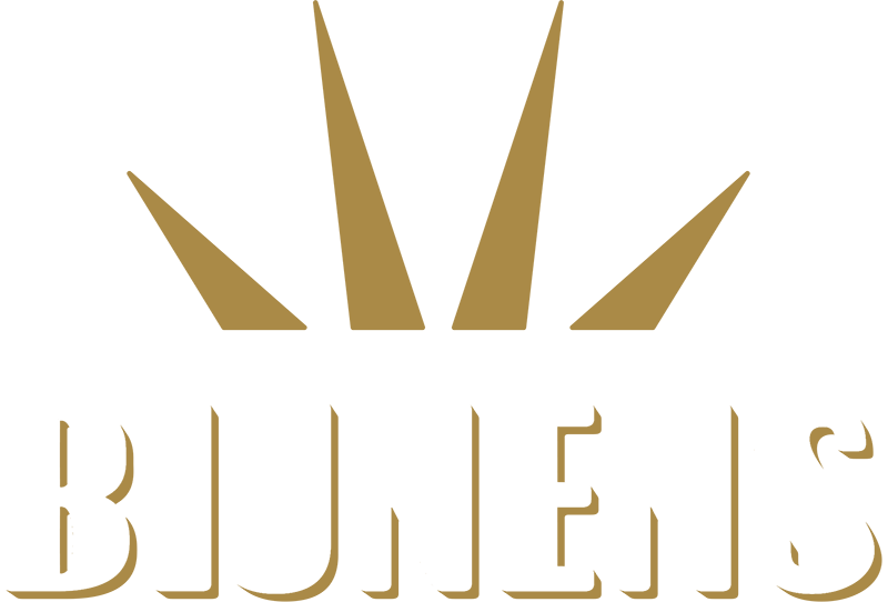 Logo Bijnens